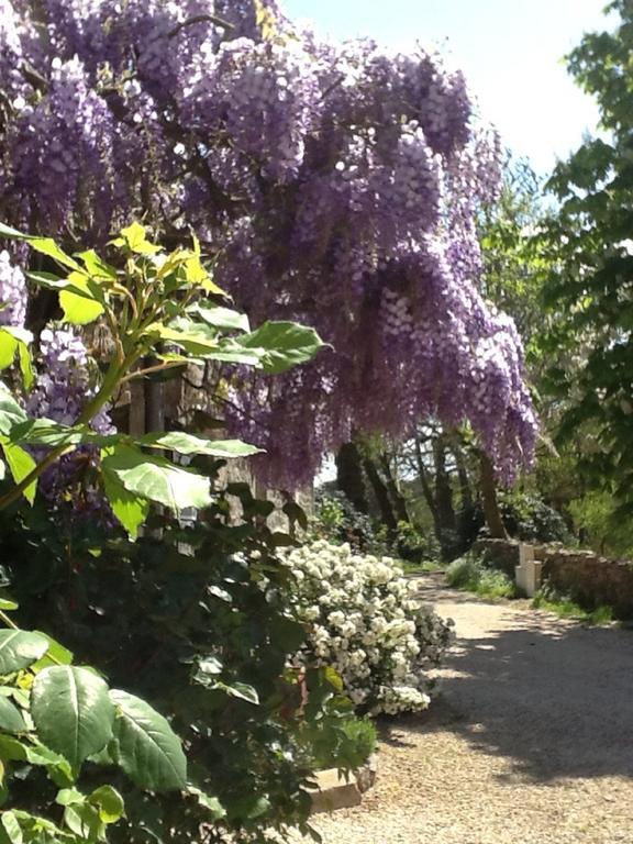 La Ferme De Kerraoul Bed and Breakfast Combrit Εξωτερικό φωτογραφία