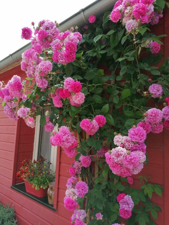 La Ferme De Kerraoul Bed and Breakfast Combrit Εξωτερικό φωτογραφία